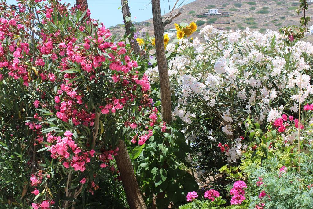 Mare Monte Hotel Chora  Buitenkant foto